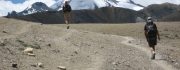 Likir Khaltse Trek – 9 days