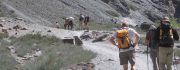 Markha Valley Trek – 8days