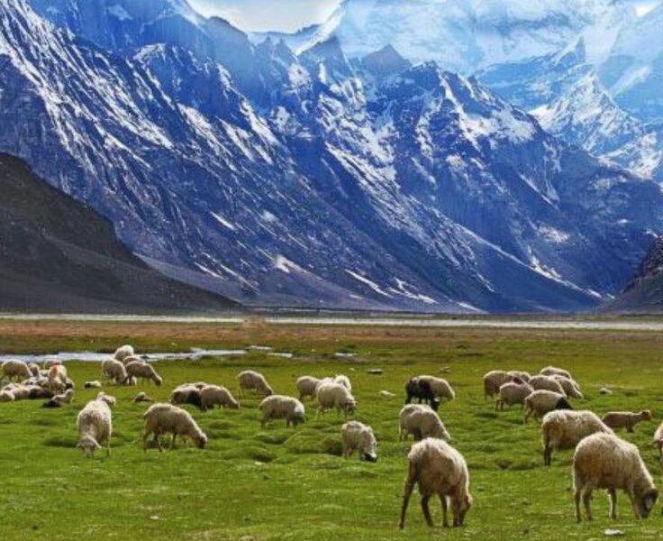 Suru Valley,Himalayas,Ladakh,cultural heritage,trekking trails