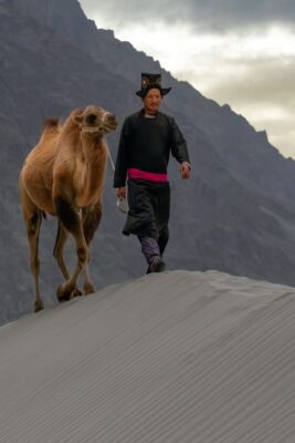 Ladakh,Himalayas,Adventure,Serenity,Journey