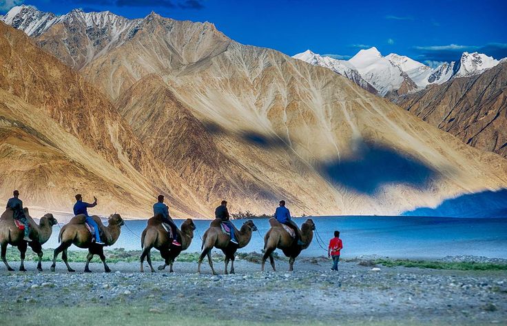 Nubra Valley,Ladakh,Himalayan peaks,Bactrian camels,adventure enthusiasts