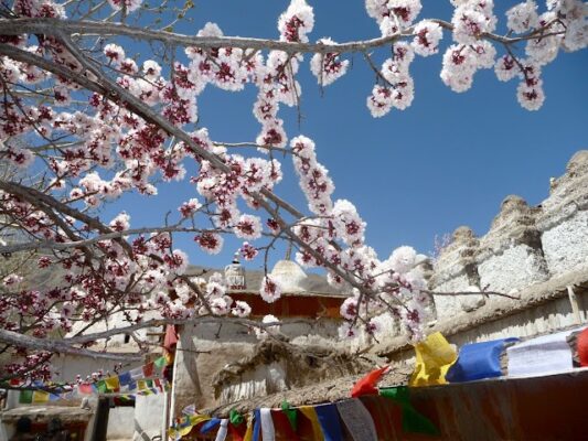 Leh Ladakh,Northern Indian bastion,Panoramic vistas,High-altitude mystique,Cultural tapestry,Seasonal rhythms,Climatic variations,Summer tourism,Tourist influx,Outdoor pursuits,Trekking,River rafting,Autumnal hues,Winter trekking,Frozen landscapes