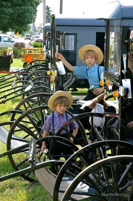Amish,Pennsylvania German,Clothing,Electricity,Community,Lifestyle,Transportation,Ironing,Language Barrier,Communal Living