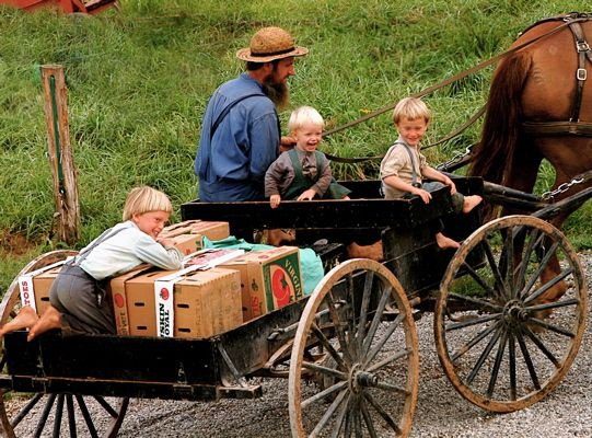 Amish,Pennsylvania German,Clothing,Electricity,Community,Lifestyle,Transportation,Ironing,Language Barrier,Communal Living