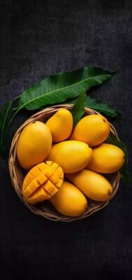 Mangoes India,Alphonso mangoes,Mango varieties,Mango production,India mango tour,Indian mango types,Mango cultivation India,Mango flavors,Chausa mango,Banganapalli mango