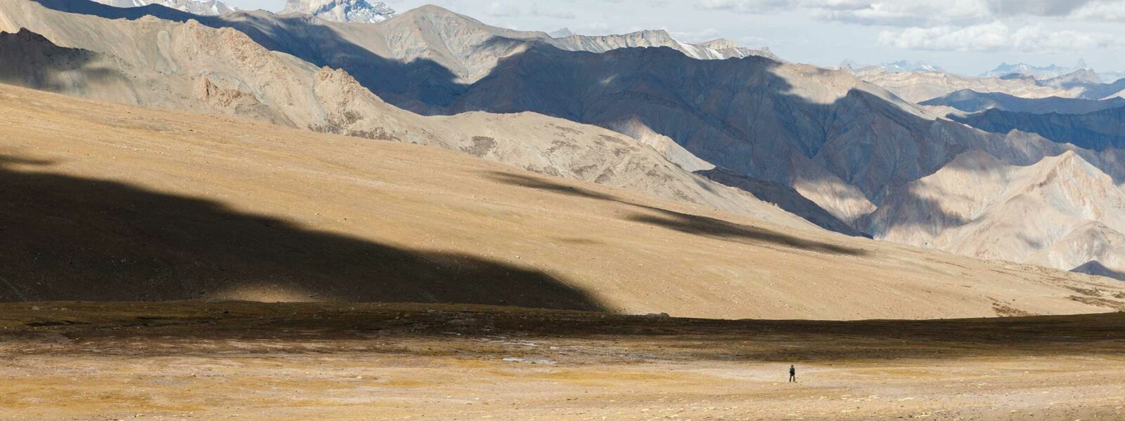 Ladakhi Cuisine 