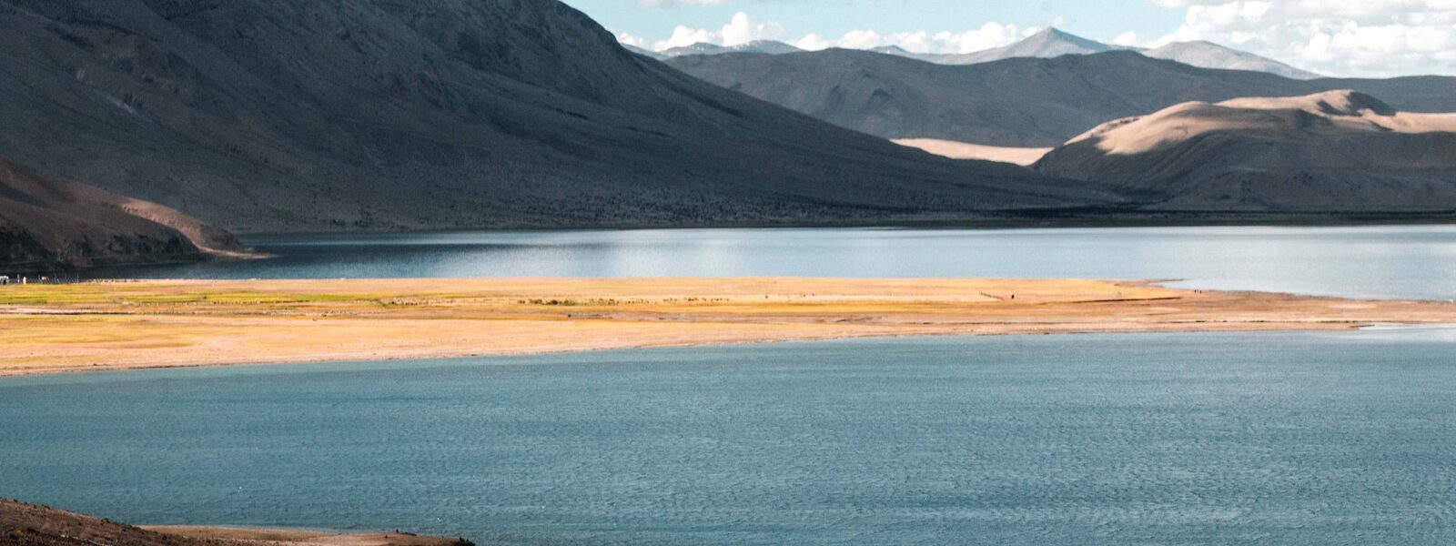 Ladakhi Cuisine 