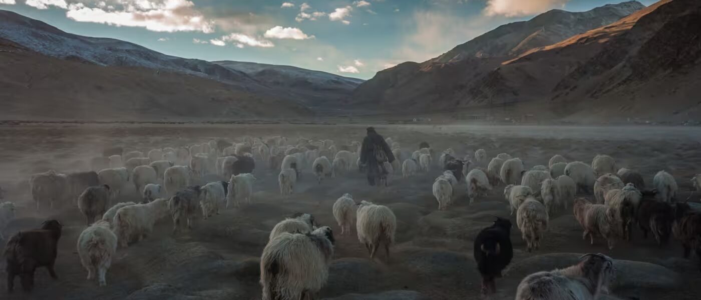 Ladakh in Autumn