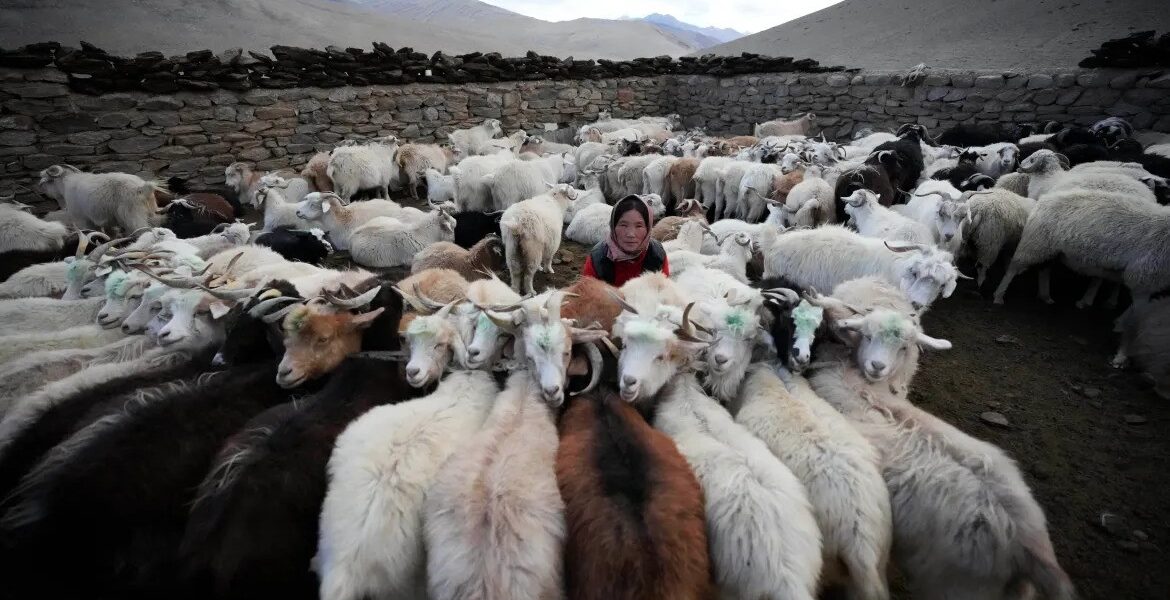 Gompas in Ladakh