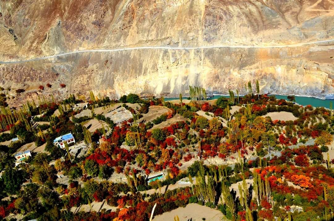 Best Time to Witness the Stunning Autumn Colors of Ladakh