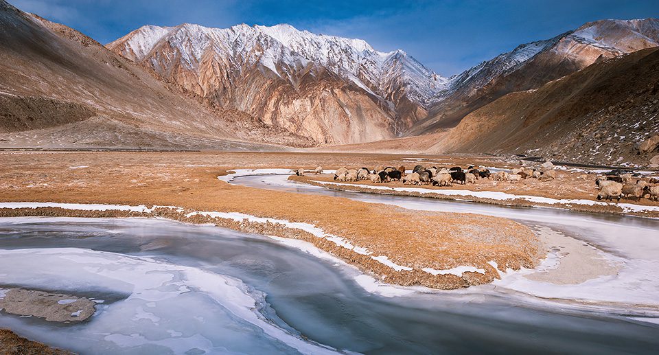 Unveiling Ladakh: Mysteries Of The Ladakh Cold Desert – A Complete ...