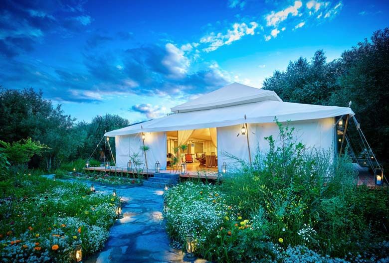 Luxury Trekking in Ladakh 2025s Most Comfortable Adventures | High-End Himalayan Treks 2 IMG 8110 e1738847852676