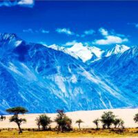 nubra