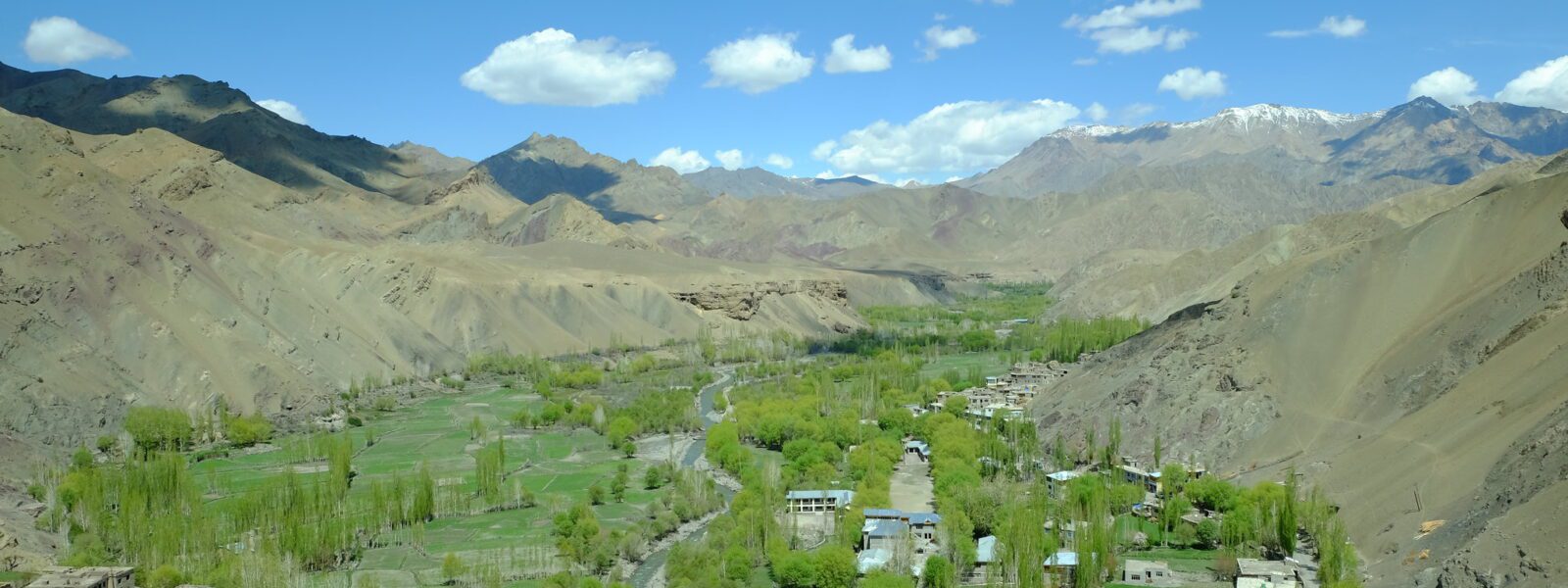 Chiktan