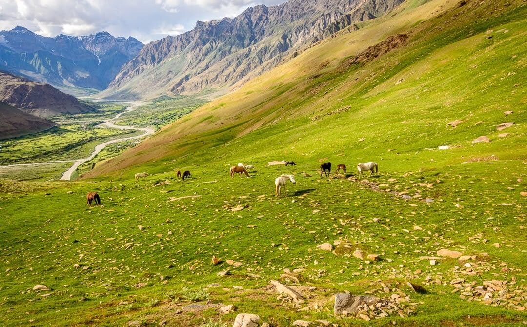 スル ザンスカール回廊トラベルガイド|ヒマラヤ遷移ルートを歩く 2 IMG 8668 e1765533177952