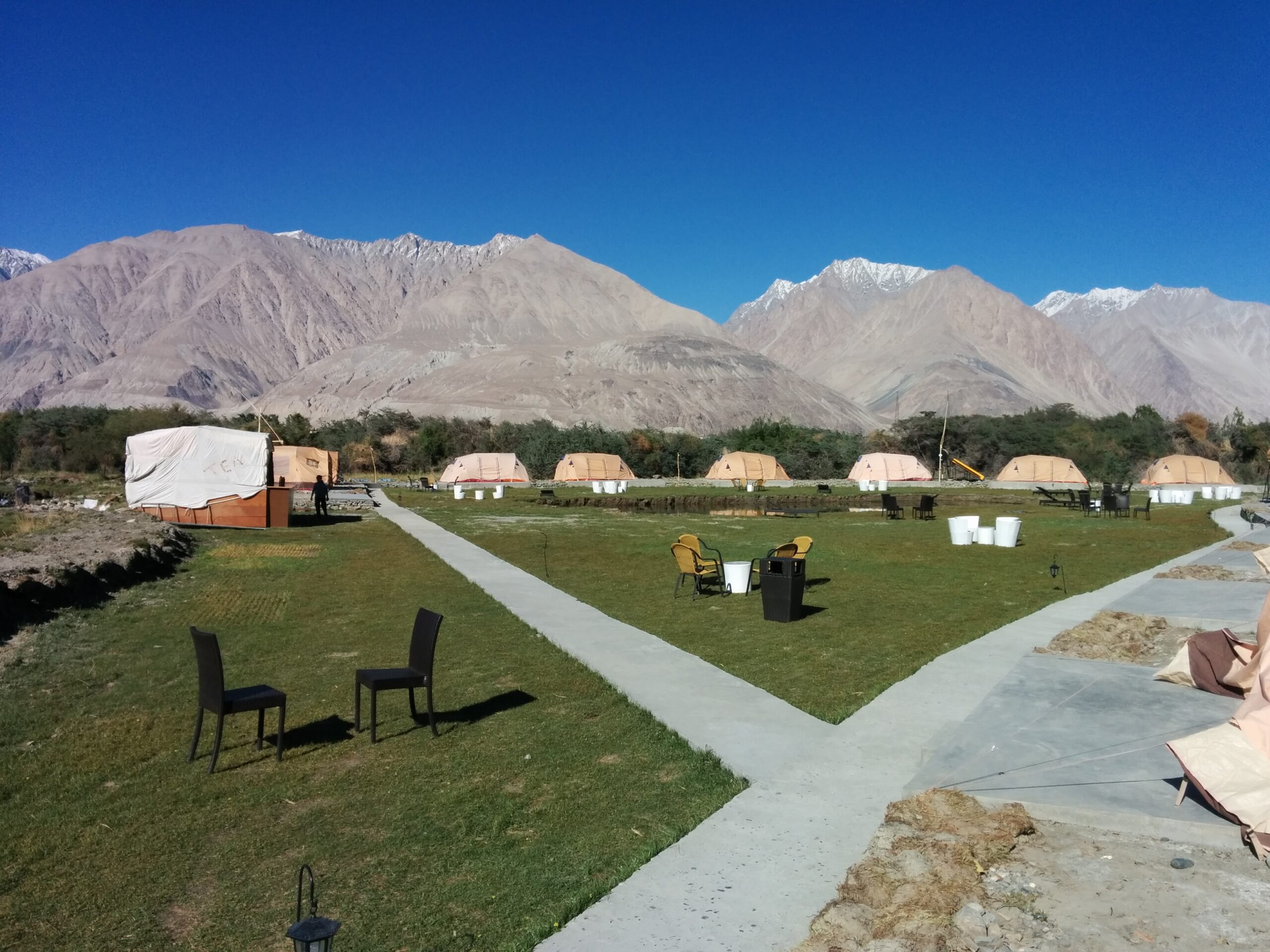 When the Earth Measures Itself: A Journey Through the Thin Air of Ladakh 3 IMG 9478 scaled