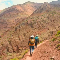 IMG 9495 e1763275937346