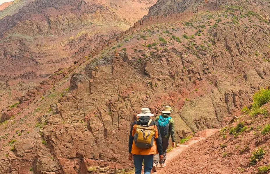 IMG 9495 e1763275937346