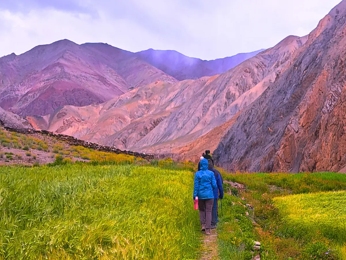 7-Day Markha Valley Trek: A Scenic Journey from Skiu to Chokdo 3 IMG 9498