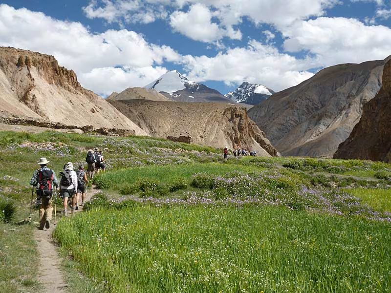 7-Day Markha Valley Trek: A Scenic Journey from Skiu to Chokdo 4 IMG 9499