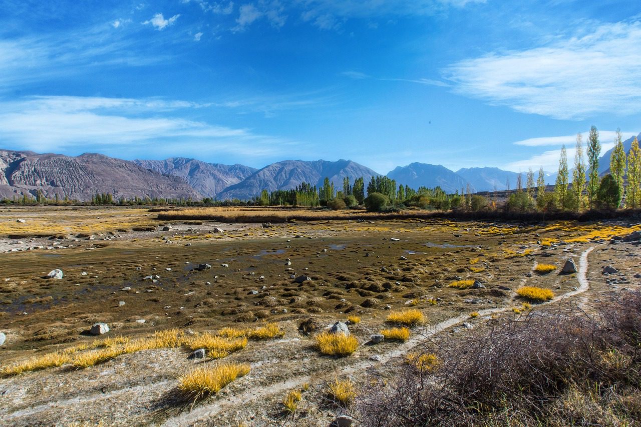 Ladakh Altitude Guide: How to Acclimatize Safely and Travel Well 4 IMG 9506