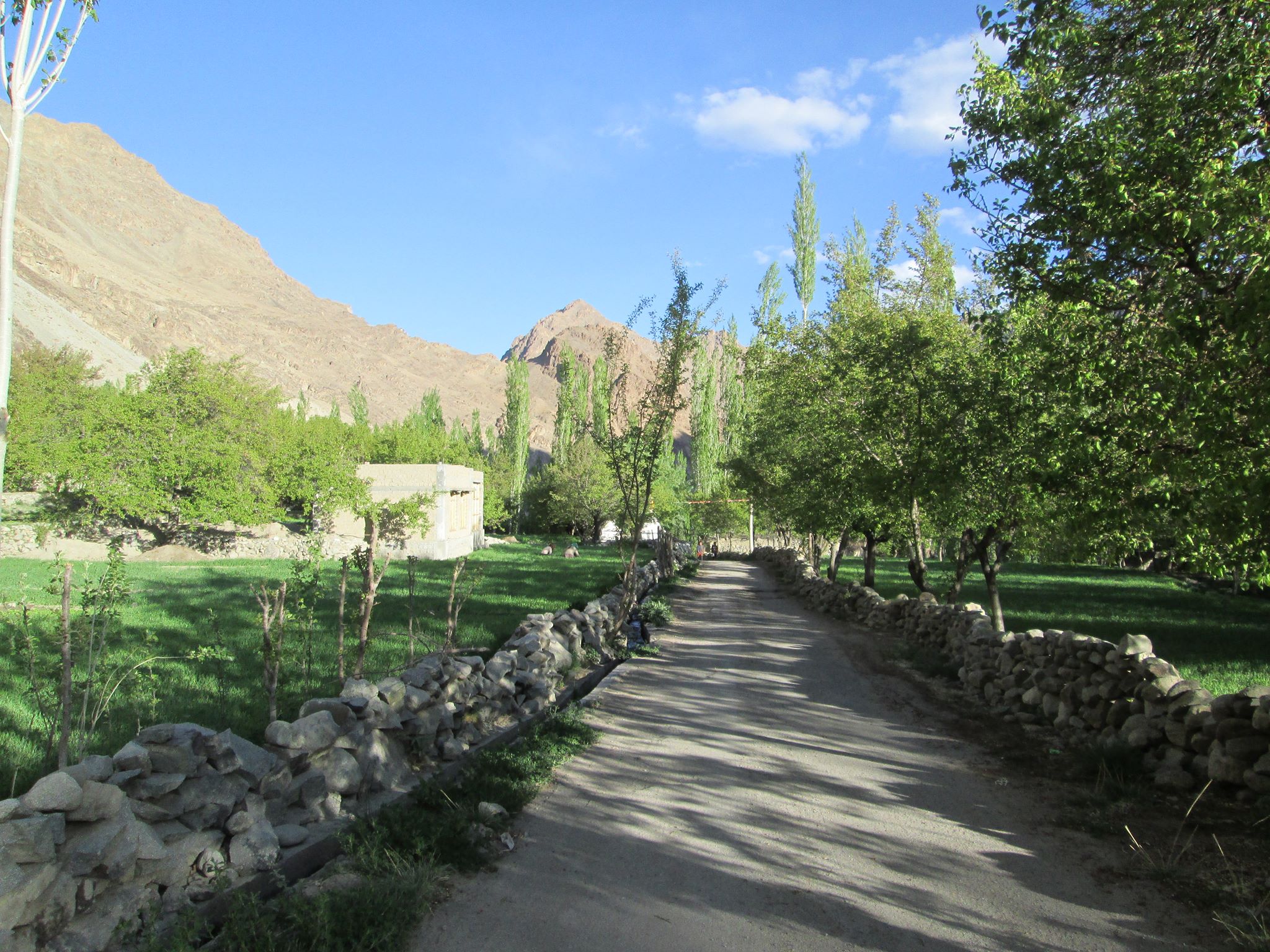 ローワー・シャム:インダス川沿いでラダックの暮らしが今もゆっくり息づく静かな村々 4 IMG 9553