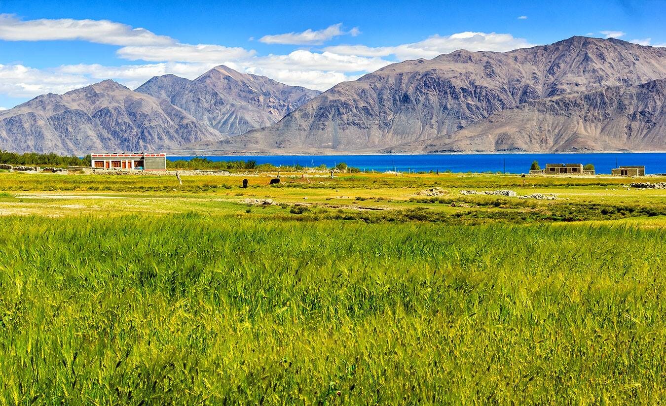 IMG 9564 e1764666534348