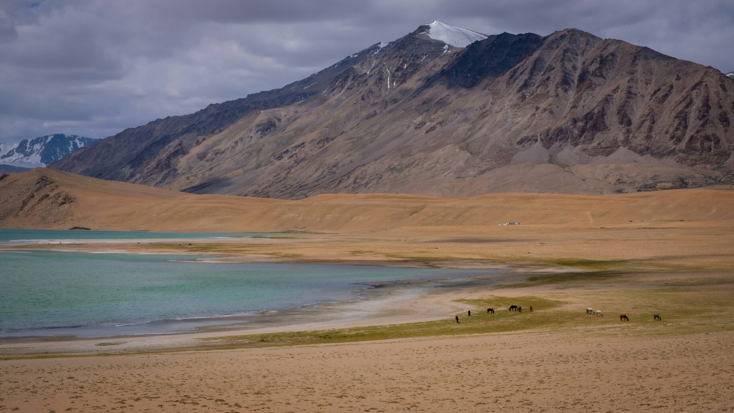 10 Remote Changthang Plateau Villages That Reveal the Soul of Ladakh 1 Changthang Plateau Villages