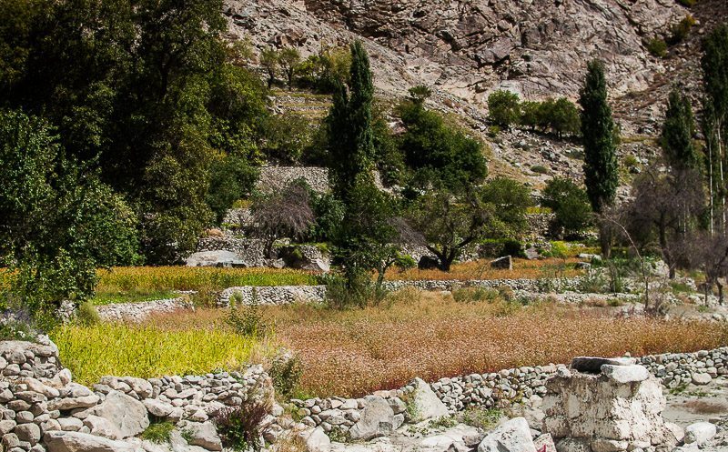 IMG 9591 e1765007015101