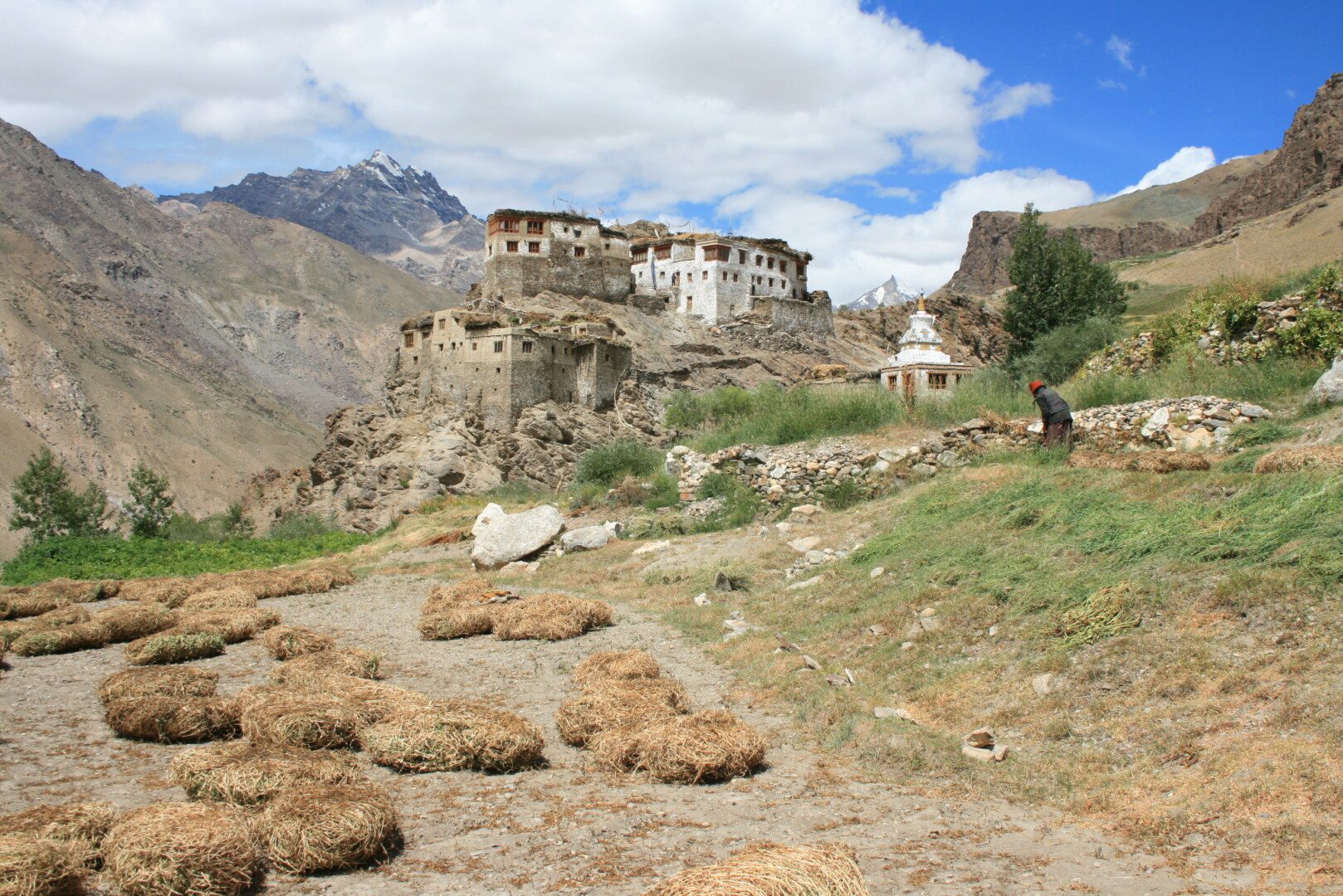 Phuktal Darcha Corridor | Monasteries and High Pass Route from Zanskar to Lahaul 2 IMG 9617