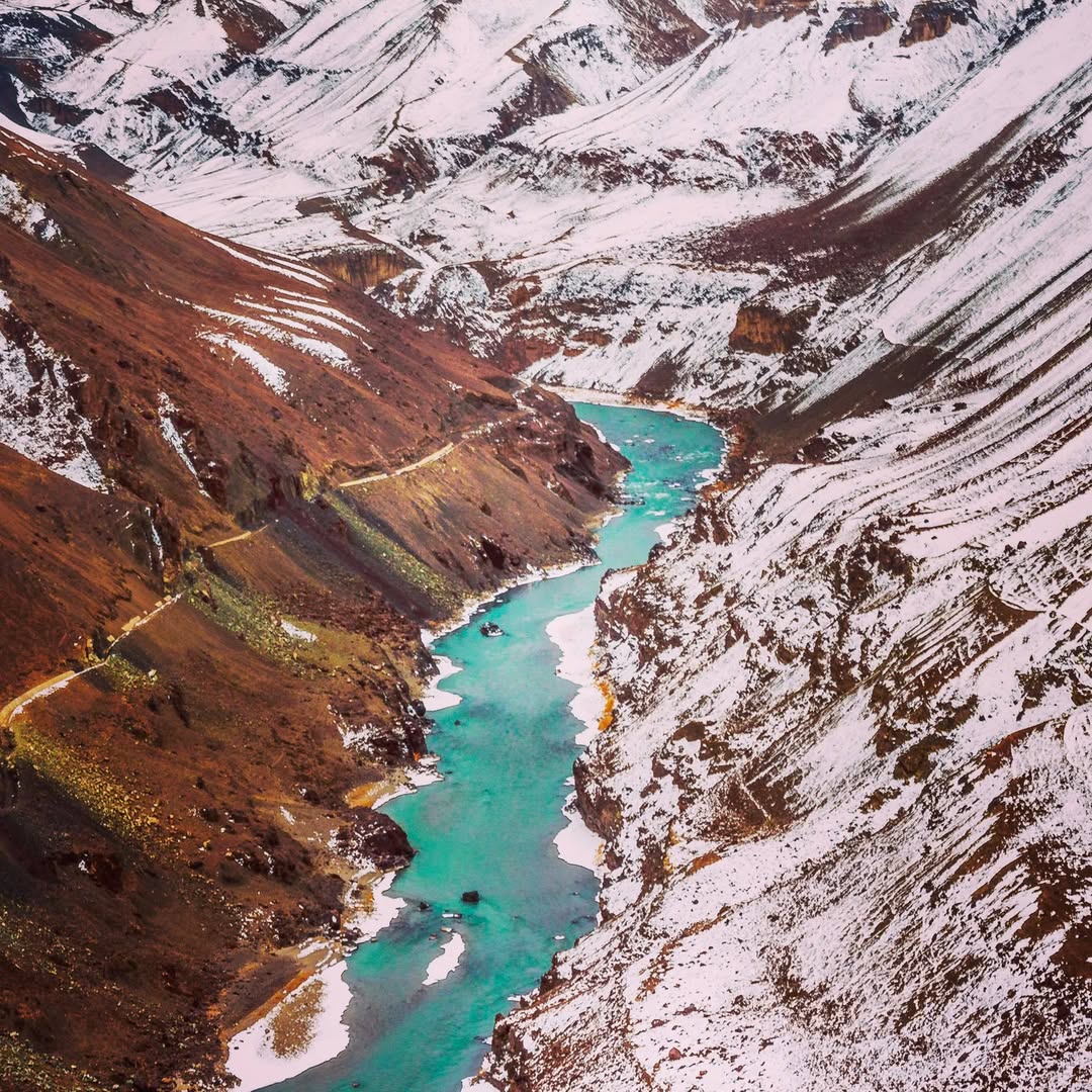 Where Silence Watches Back: A Winter Search for Snow Leopards in Ladakh 2 IMG 9797