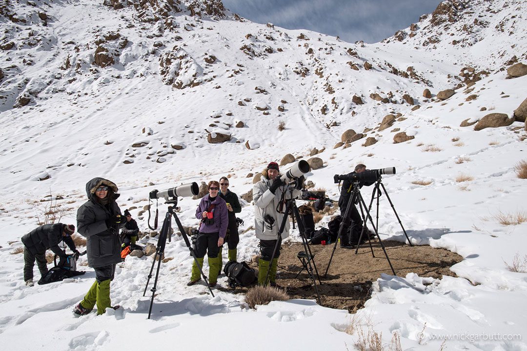 Where Silence Watches Back: A Winter Search for Snow Leopards in Ladakh 4 IMG 9800