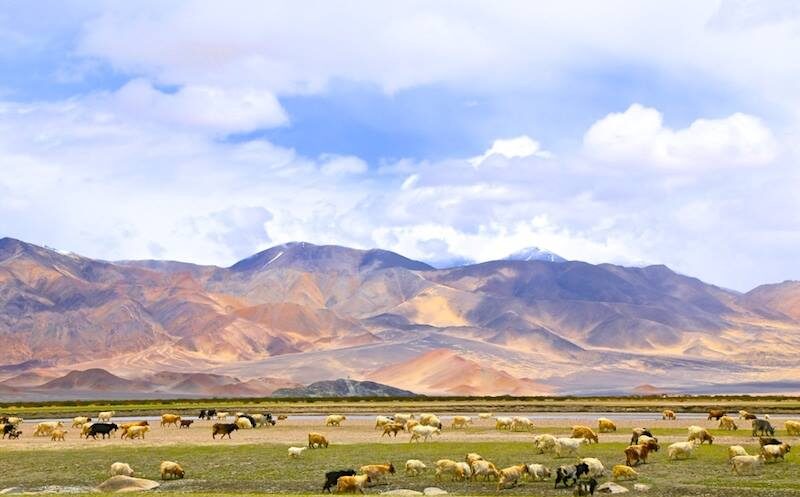 IMG 9896 e1770715309297