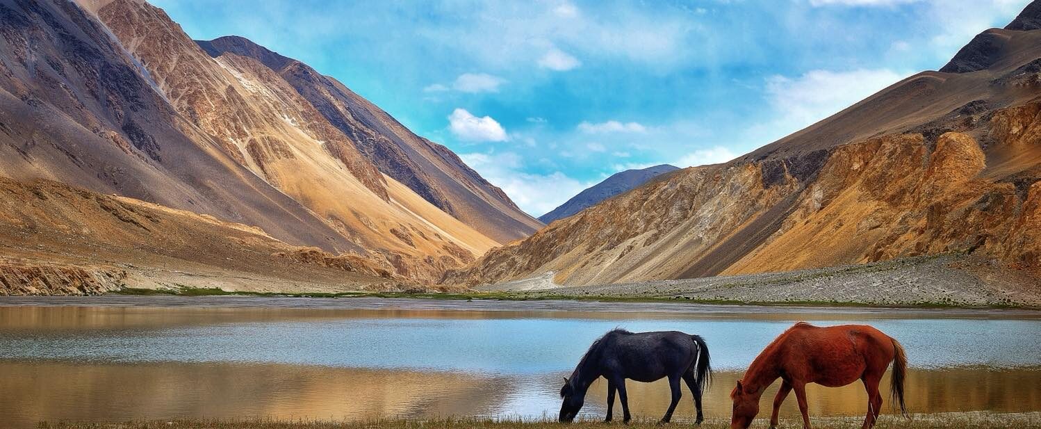 IMG 9898 e1770715579929