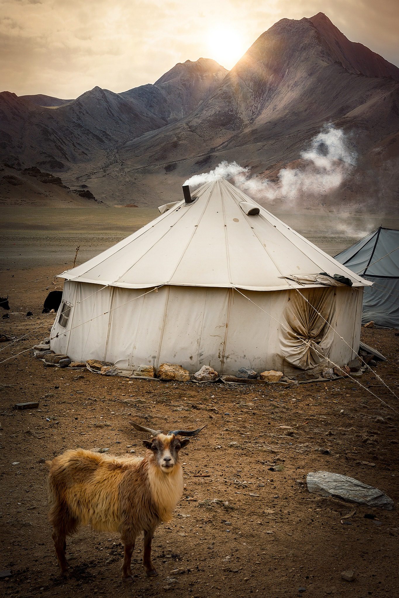 Living Small: Finding Freedom in Ladakh's Timeless Wisdom 3 IMG 9994