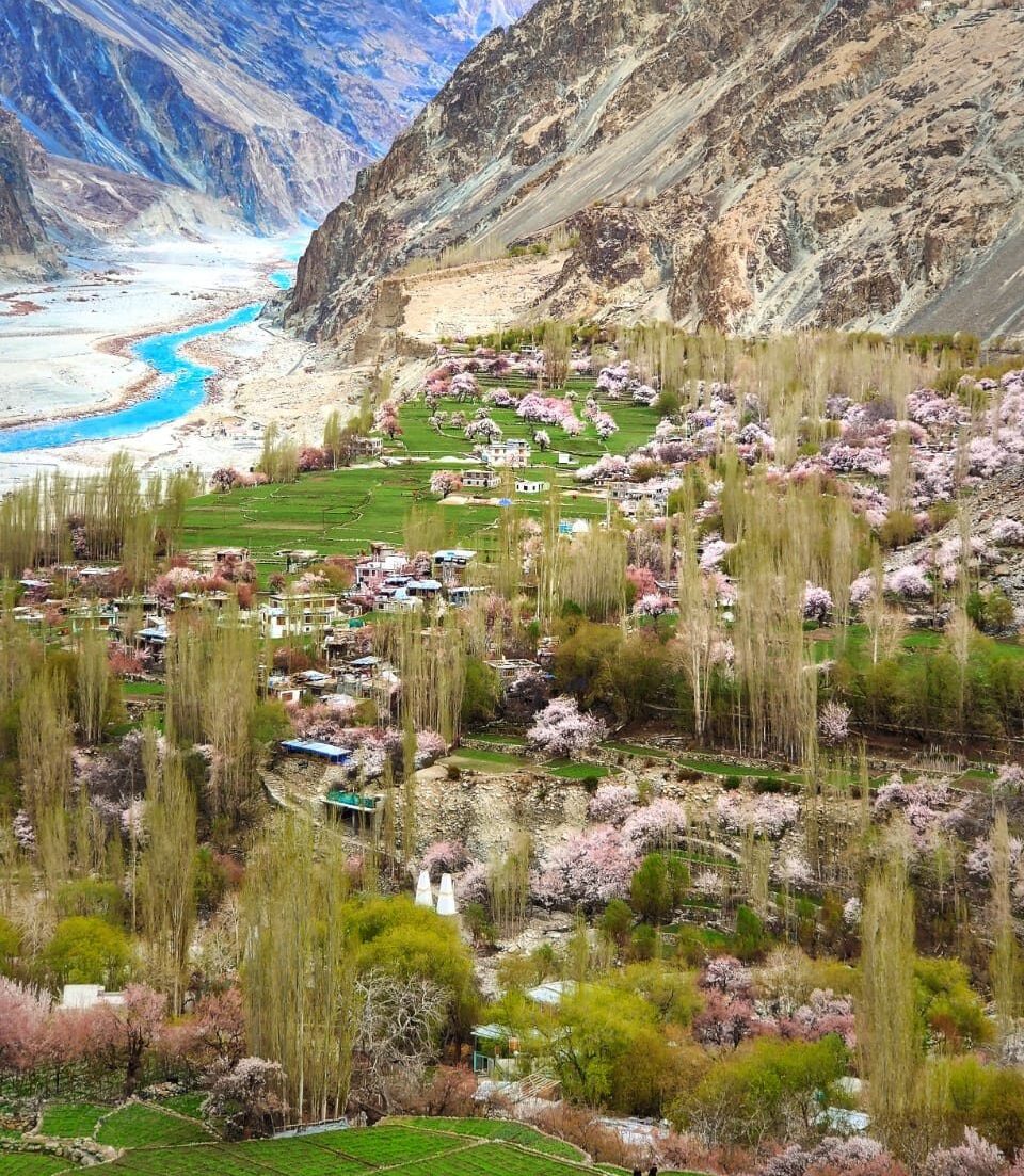 IMG 0359 e1773223341903