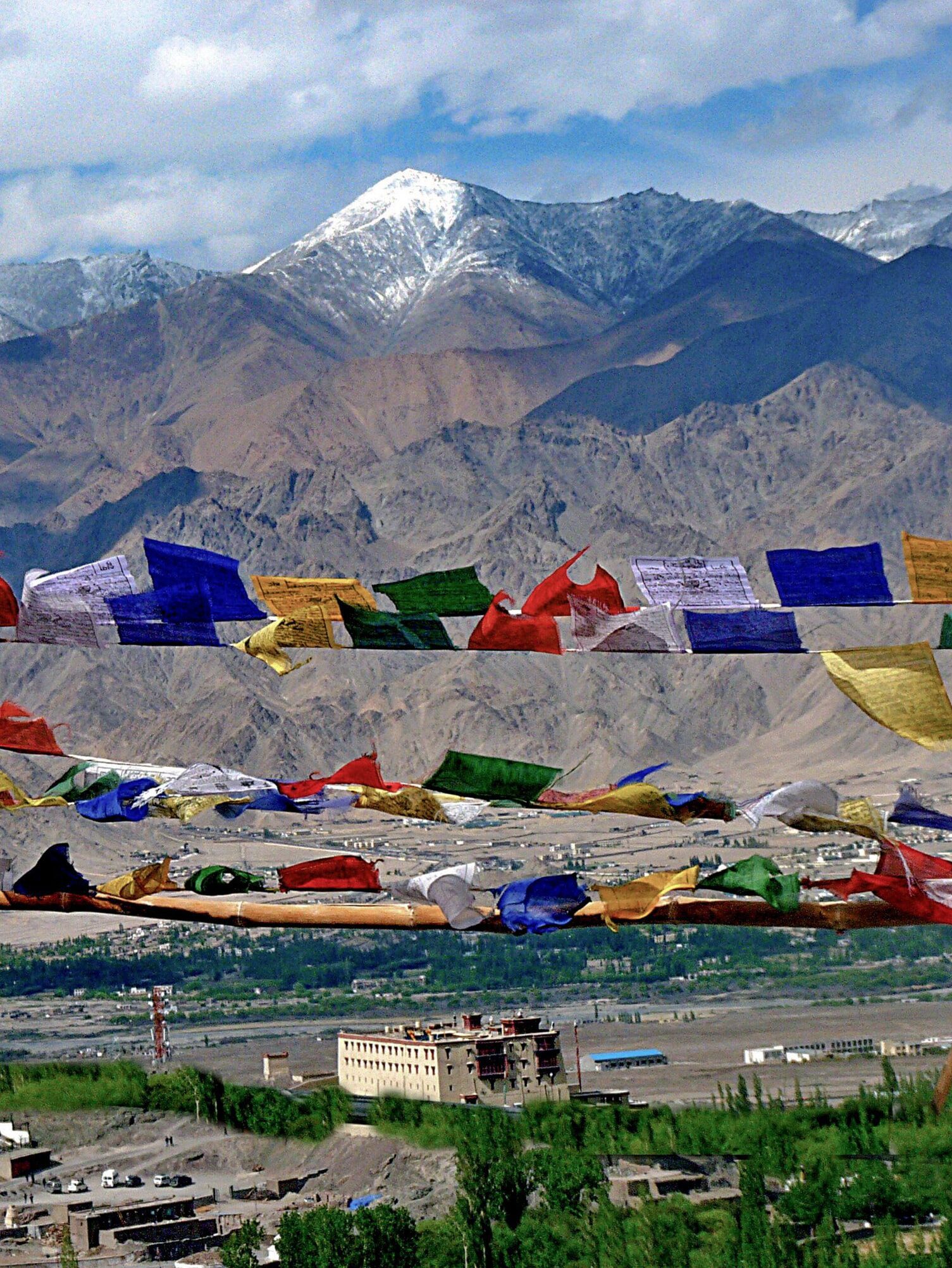 IMG 0361 e1773224009828