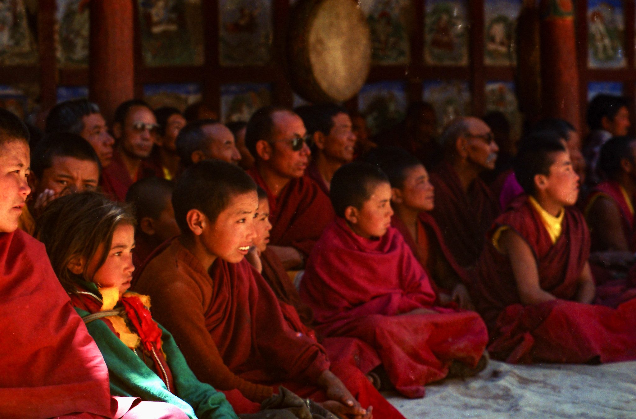 When Mountains Silence the Screen: Finding Digital Peace in Ladakh 1 IMG 0415