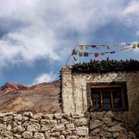 IMG 0501 e1773997868341