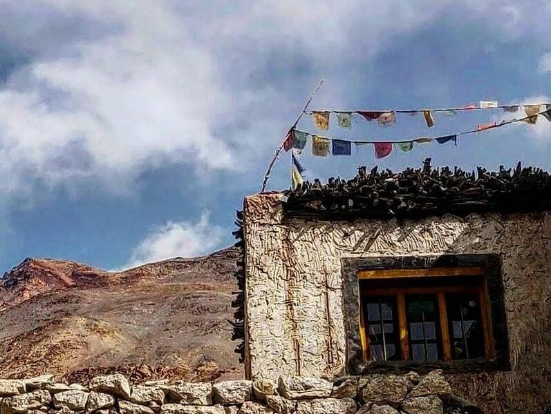 IMG 0501 e1773997868341