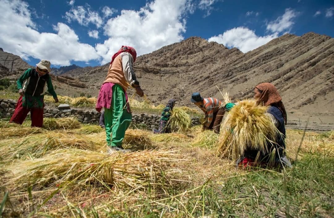 Lost Connections: How Ladakh Shows Us the Distance We've Traveled 1 IMG 0502