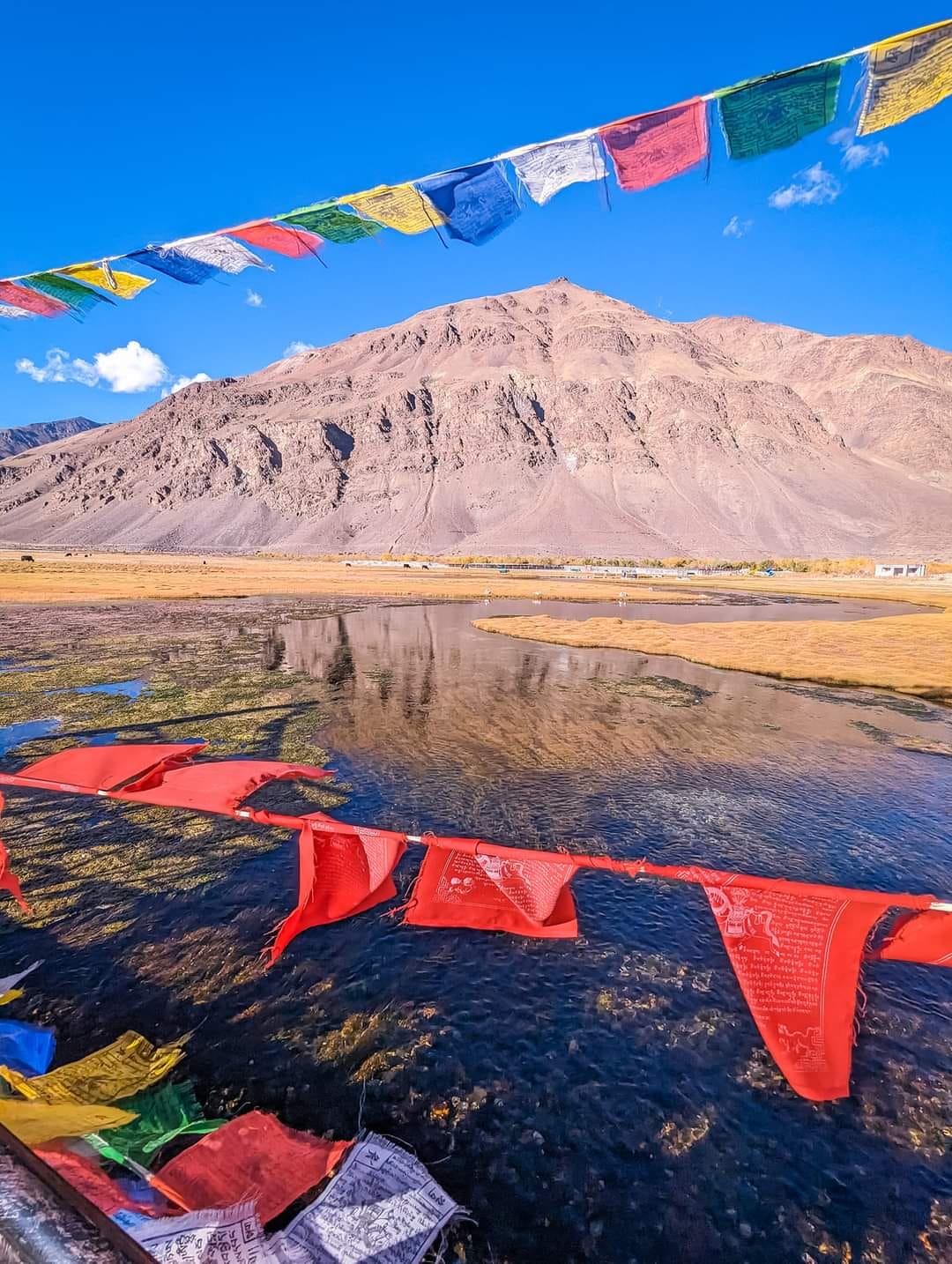 Lost Connections: How Ladakh Shows Us the Distance We've Traveled 4 IMG 0504